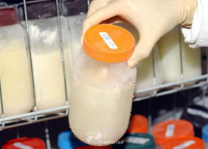 doacoes-cairam-60-nos-bancos-de-leite-materno-no-estado-de-sao-paulo-correio-nogueirense