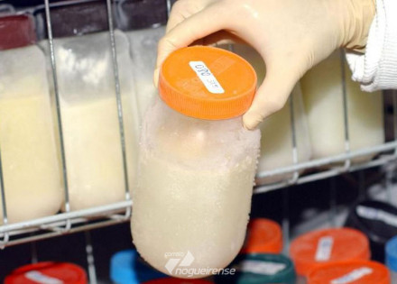 doacoes-cairam-60-nos-bancos-de-leite-materno-no-estado-de-sao-paulo-correio-nogueirense