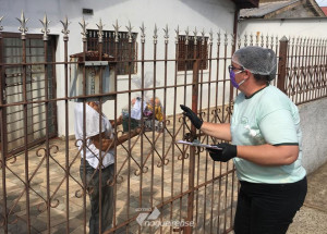 mais-de-450-kits-com-lanches-e-mascaras-ja-foram-entregues-a-melhor-idade-de-sumare-correio-nogueirense