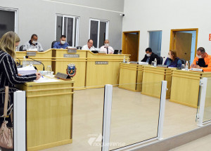 na-contramao-do-governo-de-sao-paulo-camara-de-holambra-aprova-projeto-do-executivo-e-suspende-feriados-municipais-ate-dezembro-correio-nogueirense