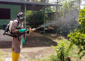 prefeitura-de-sumare-intensifica-acoes-de-combate-a-dengue-correio-nogueirense