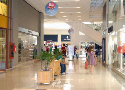 vendas-do-dia-das-maes-devem-encolher-quase-60-devido-a-pandemia-correio-nogueirense