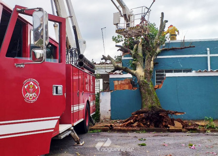 arvore-cai-sobre-casa-durante-chuva-em-artur-nogueira-correio-nogueirense-capa
