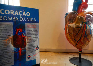 cartorios-registram-aumento-nas-mortes-por-doencas-cardiovasculares-correio-nogueirense