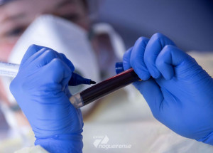 casos-globais-de-covid-19-superam-10-milhoes-correio-nogueirense