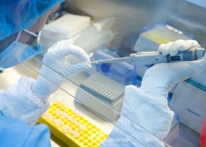 com-365-mortes-por-covid-19-sao-paulo-tem-recorde-de-obitos-em-um-dia-correio-nogueirense