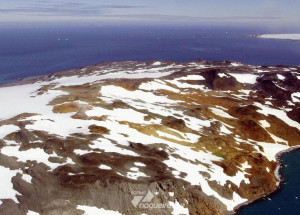 decada-dos-oceanos-instituida-pela-onu-comeca-hoje-em-todo-o-mundo-correio-nogueirense