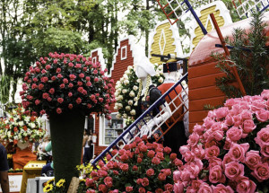 expoflora-e-adiada-para-2021-por-causa-do-coronavirus-evento-aconteceria-nos-meses-de-agosto-a-setembro-correio-nogueirense-capa