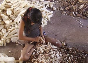 forum-teme-que-covid-19-provoque-aumento-de-trabalho-infantil-correio-nogueirense