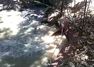 senado-aprova-novo-marco-do-saneamento-correio-nogueirense