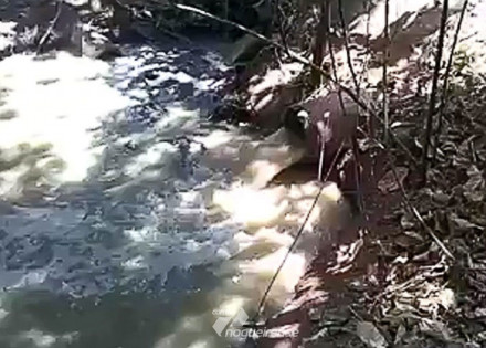 senado-aprova-novo-marco-do-saneamento-correio-nogueirense