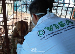 unidade-de-vigilancia-em-zoonoses-ja-atendeu-cerca-de-400-animais-em-artur-nogueira-correio-nogueirense