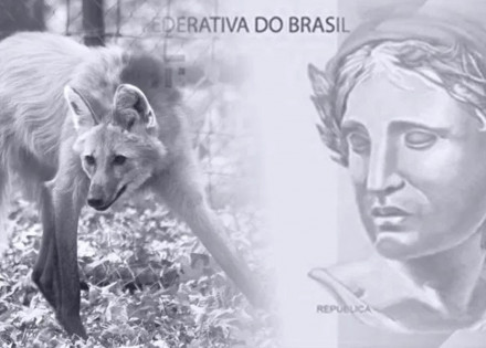 banco-central-anuncia-lancamento-da-nota-de-r-200-correio-nogueirense