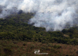 decreto-proibe-queimadas-em-todo-o-brasil-por-120-dias-correio-nogueirense