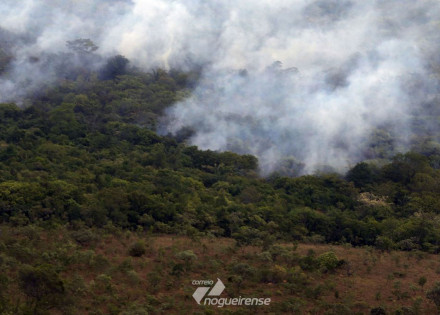 decreto-proibe-queimadas-em-todo-o-brasil-por-120-dias-correio-nogueirense