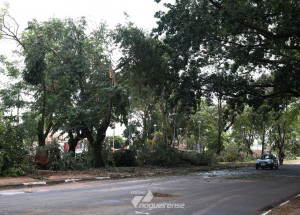 defesa-civil-de-artur-nogueira-informa-que-podera-haver-chuvas-com-quedas-de-raios-e-ventos-fortes-correio-nogueirense