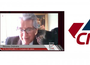 Dogue Alemão ‘invade’ sessão remota do Tribunal de Contas do Estado de São Paulo