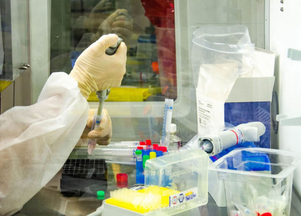 brasil-registra-33-milhoes-de-casos-e-1072-mil-mortes-por-covid-19-correio-nogueirense