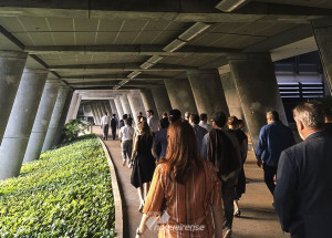 mutacao-infecciosa-da-covid-19-pode-ser-positiva-diz-especialista-correio-nogueirense