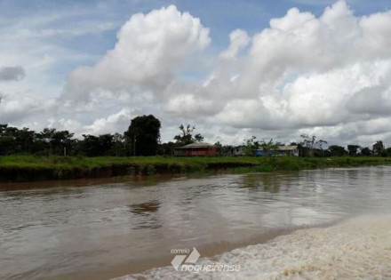 agropecuaria-ocupa-consideravel-extensao-de-terra-no-bioma-amazonia-correio-nogueirense