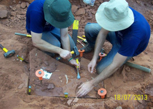 pesquisadores-apresentam-dados-ineditos-sobre-dinossauro-brasileiro-correio-nogueirense