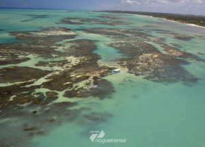 aquecimento-dos-oceanos-pode-mudar-recifes-de-corais-mostra-estudo-correio-nogueirense