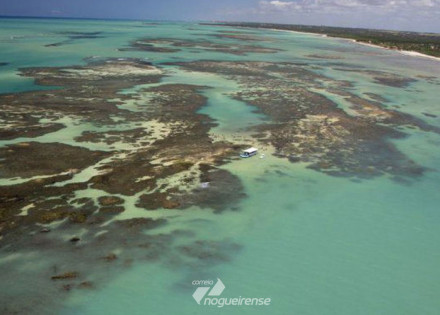 aquecimento-dos-oceanos-pode-mudar-recifes-de-corais-mostra-estudo-correio-nogueirense