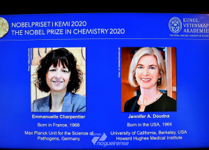 duas-cientistas-vencem-nobel-de-quimica-por-pesquisa-com-genoma-correio-nogueirense