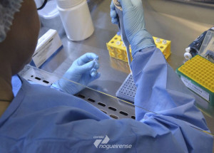 estado-de-sp-tem-segunda-semana-seguida-com-queda-de-casos-e-mortes-por-covid-19-correio-nogueirense