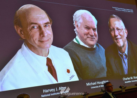 nobel-de-medicina-e-de-cientistas-que-pesquisaram-virus-da-hepatite-c-correio-nogueirense
