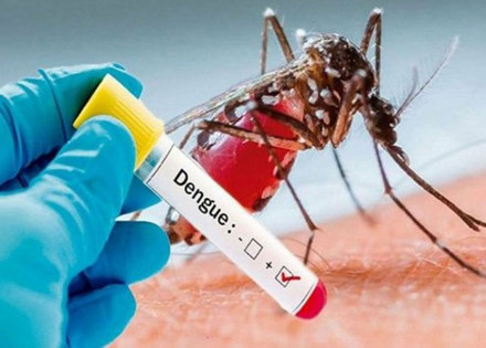 moradores-de-artur-nogueira-devem-continuar-combatendo-o-mosquito-aedes-aegypti-que-transmite-a-dengue-correio-nogueirense