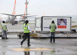 primeiro-lote-da-coronavac-com-120-mil-doses-chega-ao-brasil-correio-nogueirense