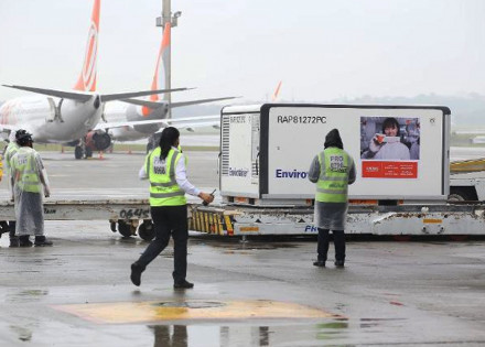 primeiro-lote-da-coronavac-com-120-mil-doses-chega-ao-brasil-correio-nogueirense