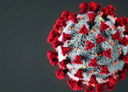 artur-nogueira-confirma-36a-morte-por-covid-19-correio-nogueirense