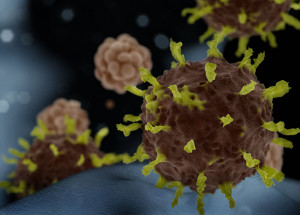 comite-de-emergencia-da-oms-analisa-variantes-do-novo-coronavirus-correio-nogueirense