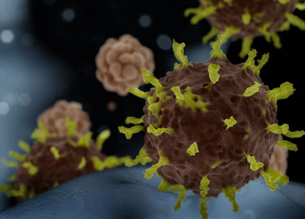 comite-de-emergencia-da-oms-analisa-variantes-do-novo-coronavirus-correio-nogueirense