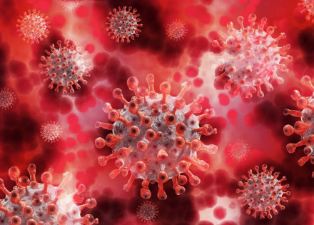 estado-de-sp-confirma-dois-casos-da-variante-do-coronavirus-encontrada-no-reino-unido-correio-nogueirense