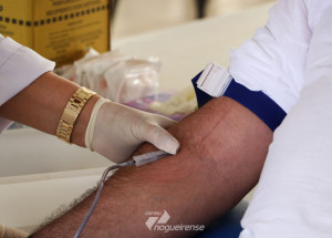holambra-realiza-na-proxima-semana-primeira-campanha-de-doacao-de-sangue-de-2021-correio-nogueirense