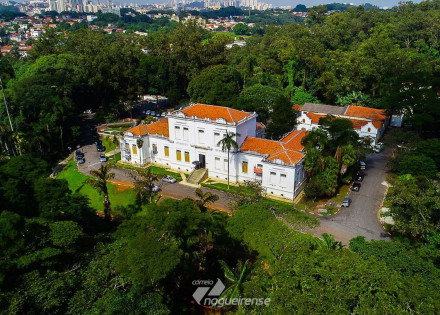 instituto-butantan-faz-testes-de-soro-em-animais-para-tratar-covid-19-correio-nogueirense