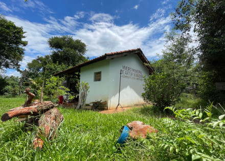 1614021130250_1614021121745_viveiro