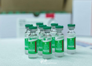 artur-nogueira-recebe-mais-430-doses-para-imunizacao-contra-covid-19-correio-nogueirense