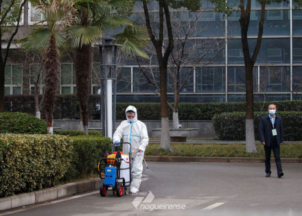 origem-da-covid-19-pesquisador-defende-estudo-de-cavernas-de-morcego-correio-nogueirense