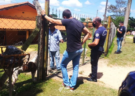policia-ambiental-de-artur-nogueira-orienta-criador-para-procriacao-de-cachorros-correio-nogueirense-capa