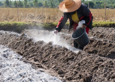 prefeitura-de-artur-nogueira-lancara-campanha-para-aumentar-produtividade-dos-agricultores-correio-nogueirense