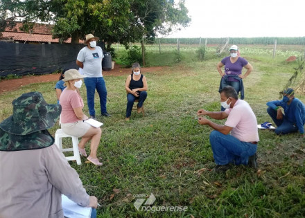 secretaria-de-agricultura-oferece-curso-gratuito-de-compostagem-em-artur-nogueira-correio-nogueirense