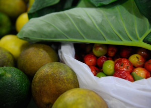 960400-20052015-_tng1915