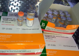 americana-recebe-mais-1-555-doses-da-vacina-coronavac-correio-nogueirense