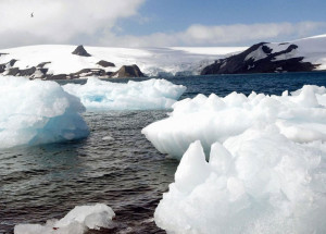 antartida-degelo-provoca-separacao-de-iceberg-correio-nogueirense