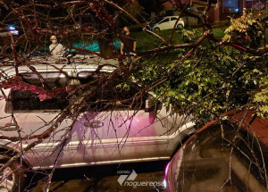 arvore-cai-e-destroi-carros-em-artur-nogueira-correio-nogueirense-capa