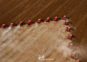 embrapa-brasil-sera-maior-exportador-de-graos-do-mundo-em-cinco-anos-correio-nogueirense